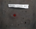 Bullet Wound